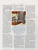 Continental Magazine Page 2